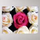 Search for english rose painting posters Pink