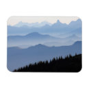 Search for cascade magnets Fog