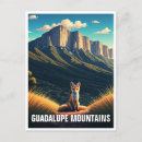 Search for national park postcards Souvenir