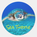 Search for marine creature stickers Turtle