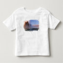 Search for geyser tshirts Rock