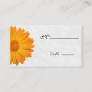 Search for white gerbera daisy Daisies