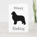 Search for newfoundland dog cards Pets