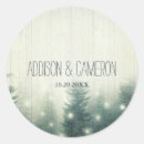 Search for winter fairy stickers Forest