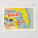 Search for florida postcards Vintage