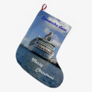 Search for passenger ship Cruising