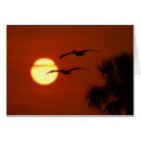 Search for refuges cards Birds