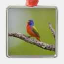 Search for singing birds christmas tree decorations Branch