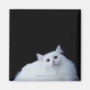 Search for fluffy white square magnets Cute