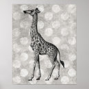 Search for black and white giraffe posters Illustration