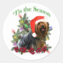Search for yorkie stickers Terrier