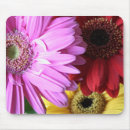 Search for red daisy mousepads Pink