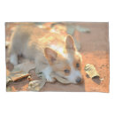 Search for corgi pillowcases Puppy