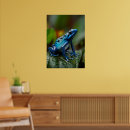 Search for darts posters Poison dart frog