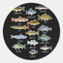 Search for freshwater fishing stickers Boat