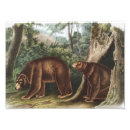 Search for cute bear illustration posters Vintage
