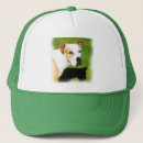 Search for colors hats Green
