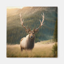 Search for bull elk magnets Deer