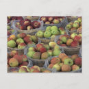 Search for apple baskets postcards Food