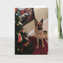 Search for shepherd christmas cards Beautiful