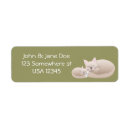 Search for kitties return address labels White