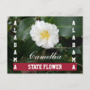Search for camellia flower postcards Nature