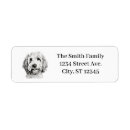 Search for golden doodle return address labels Pet