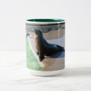 Search for marine mammal mugs Nature