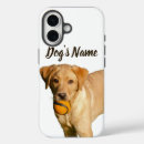 Search for golden iphone cases Create your own
