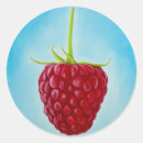 Search for raspberries stickers Fruit