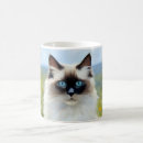 Search for ragdoll cat mugs Fluffy