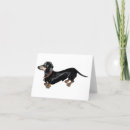 Search for long dog cards Dachshund