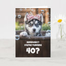 Search for funny husky cards Dog