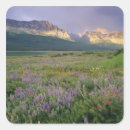 Search for public land stickers North america