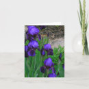 Search for manipulation cards Photography