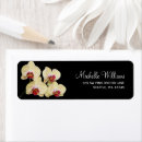 Search for orchid labels Black