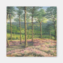 Search for pine magnets Pastel