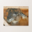 Search for alpaca puzzles Nature