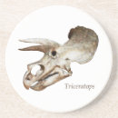 Search for triceratops coasters Fossil