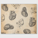 Search for anatomy wrapping paper Science