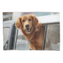 Search for golden retriever pillowcases Pet