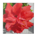Search for red hibiscus flower tiles Floral