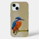 Search for perching iphone cases Kingfisher