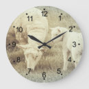 Search for sheep clocks Lambs