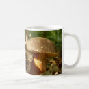 Search for edible mugs Fungi