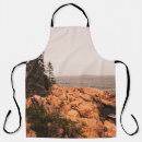 Search for shoreline aprons Beach