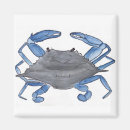 Search for crabbing magnets Ocean