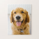 Search for golden retriever puzzles Puppy