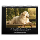 Search for rescue calendars Maremma