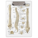 Search for doctor clipboards Hospital